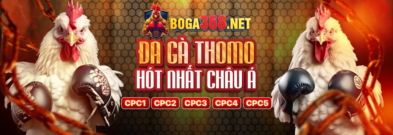 Hình ảnh minh họa các lợi ích khi tham gia cá cược tại 678bet